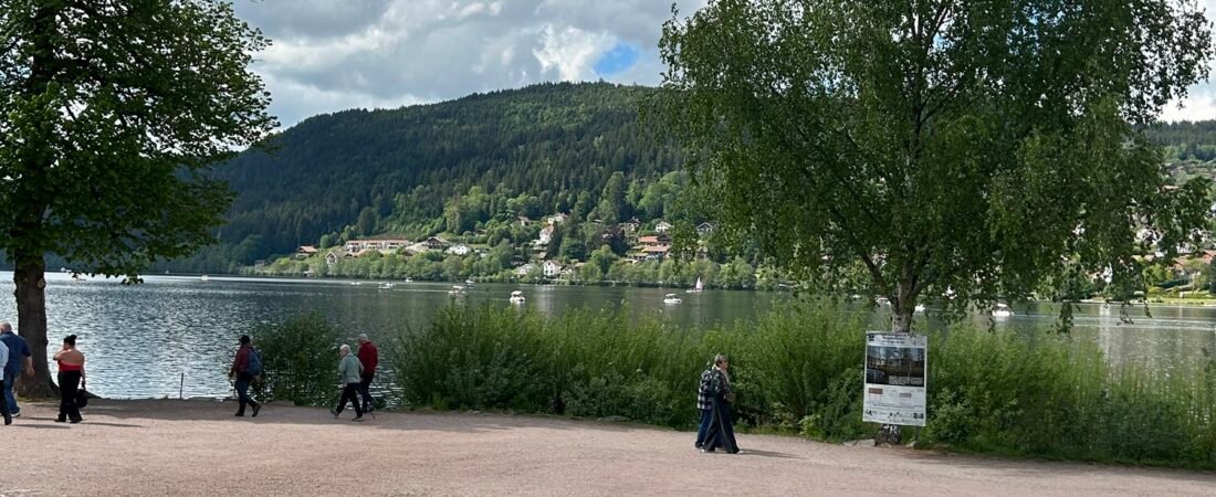 Balades en bateau à Gérardmer : découvrez le lac autrement